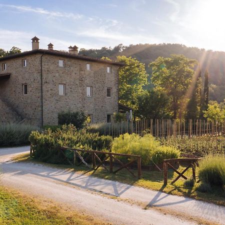 Vila Cuprena Arezzo Exteriér fotografie