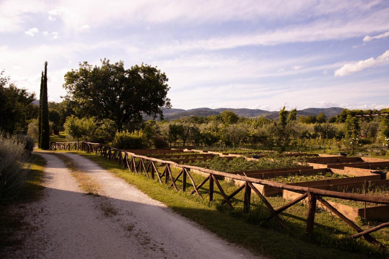 Vila Cuprena Arezzo Exteriér fotografie