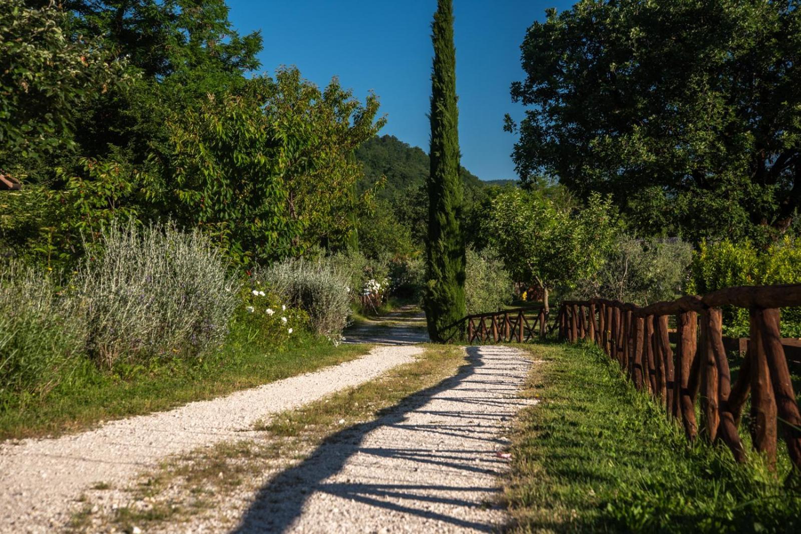 Vila Cuprena Arezzo Exteriér fotografie
